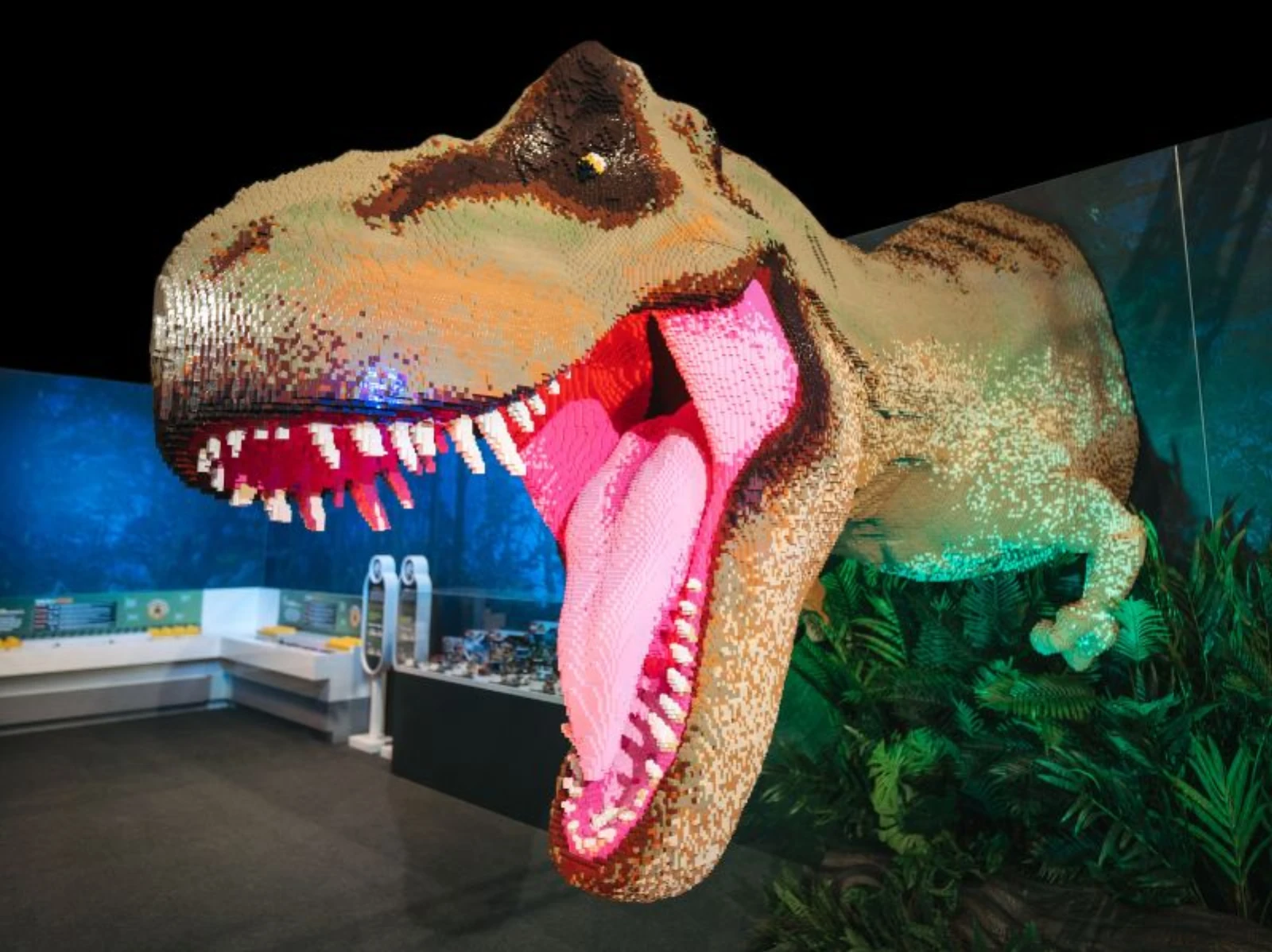 Mergulho com tubarões